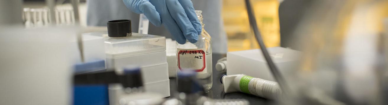 A student wearing gloves works on research in a chemistry lab